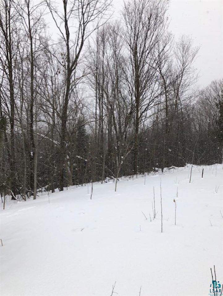 0 North York Road High Bridge, WI 54846 - Photo 3 of 4 Gallery Image 3