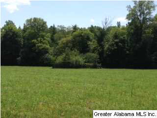 25 Rd Vincent Al Vincent, AL 35178 - Photo 2 of 22
