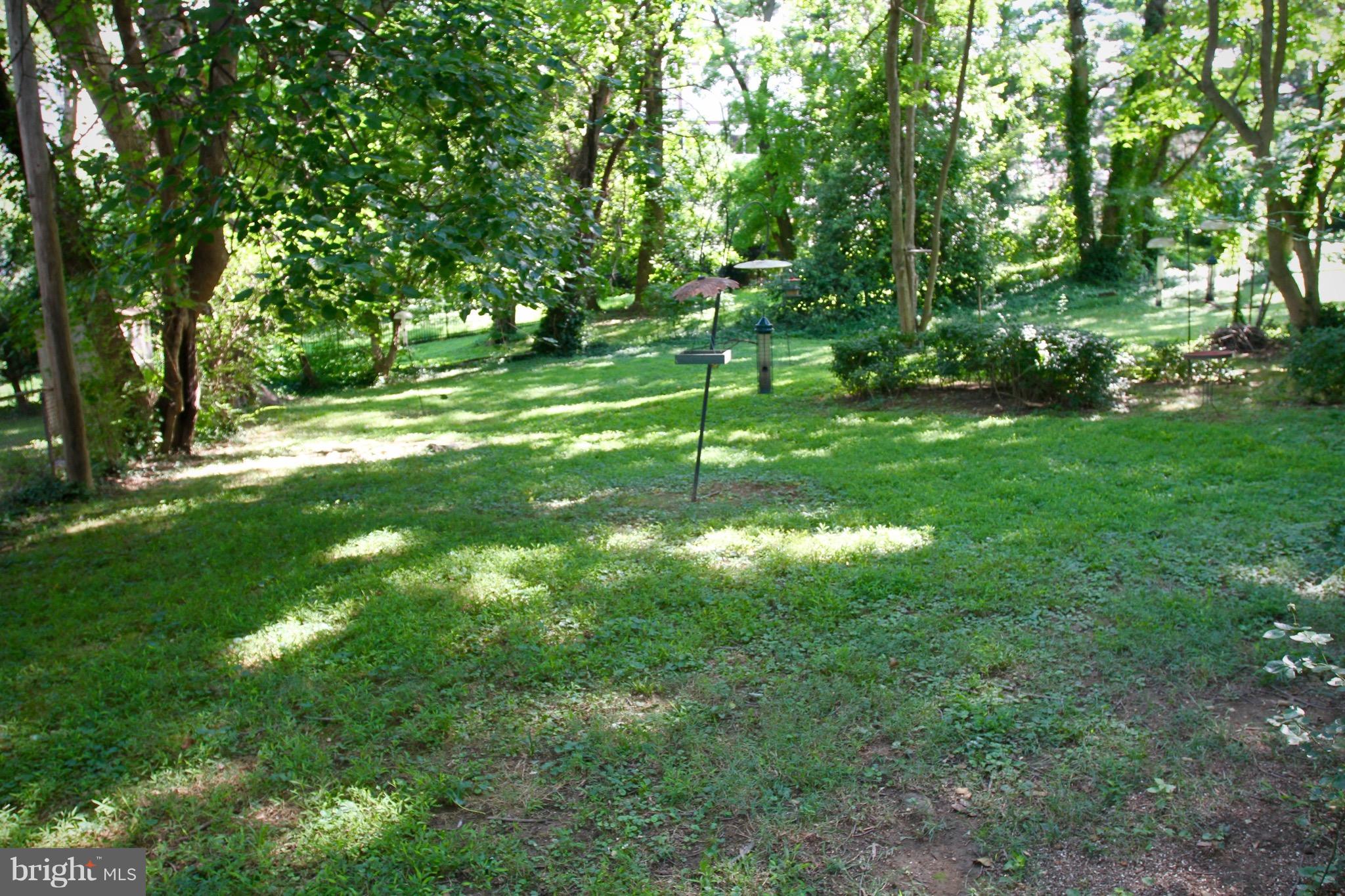5013 Dalton Road Chevy Chase, MD 20815 - Photo 12 of 16 back yard