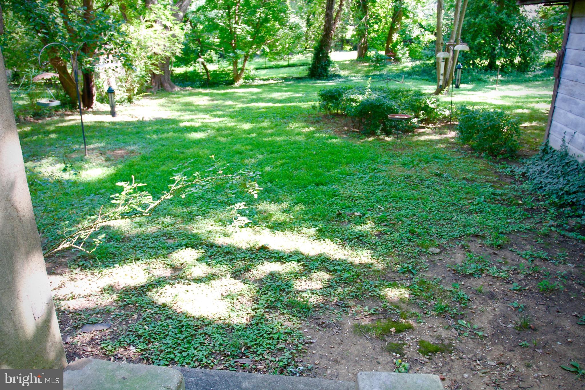 5013 Dalton Road Chevy Chase, MD 20815 - Photo 14 of 16 back yard