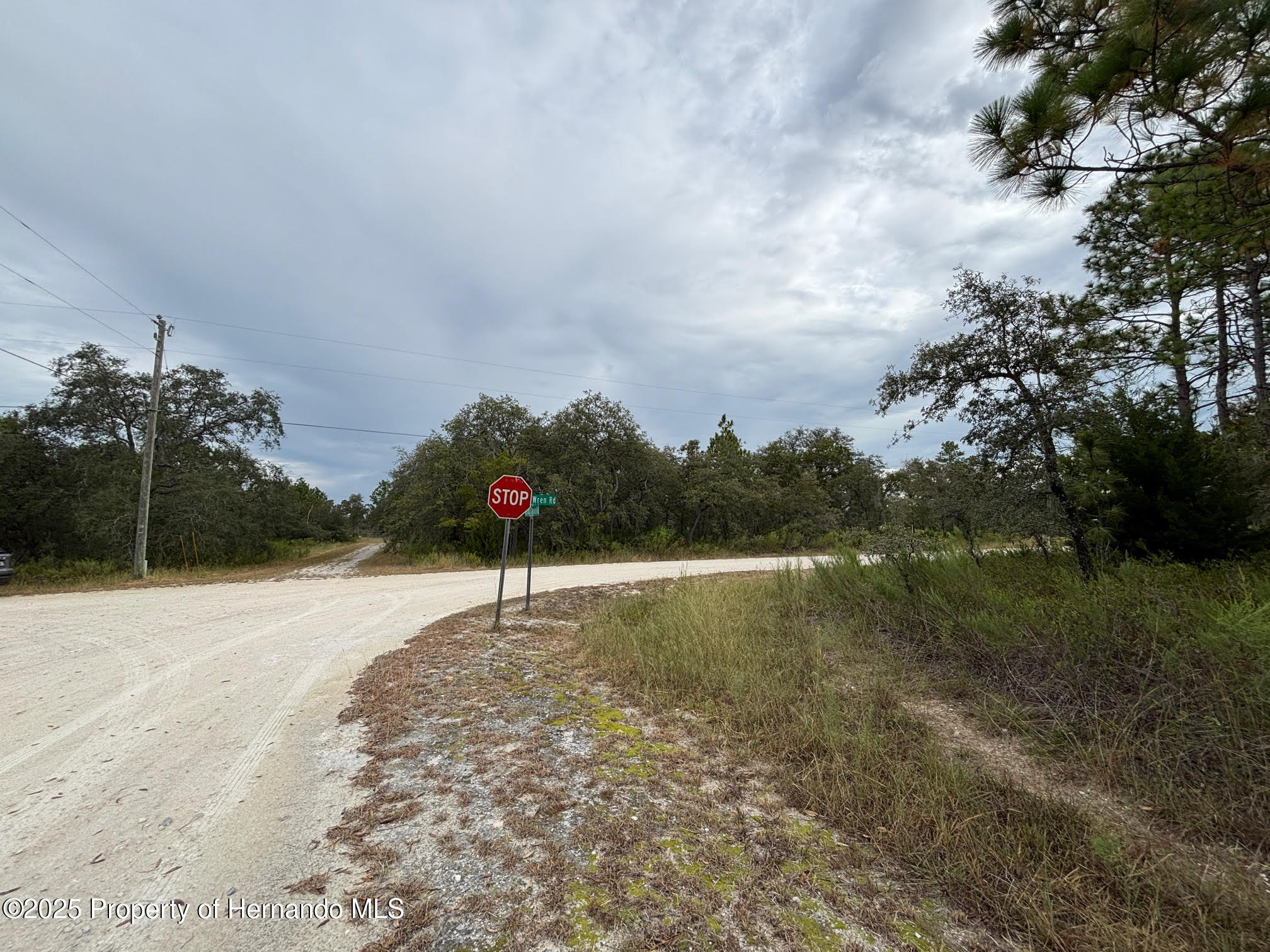Lot 1 Missouri Skylark Road Weeki Wachee, FL 34614 - Photo 6 of 10