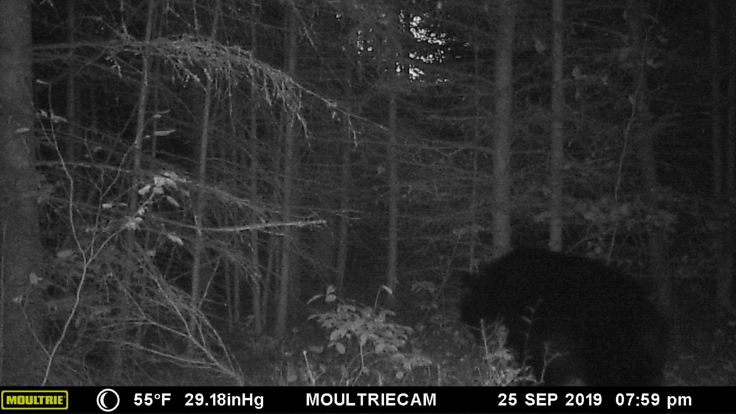 North Point Road Alpena, MI 49707 - Photo 24 of 25 Gallery Image 24