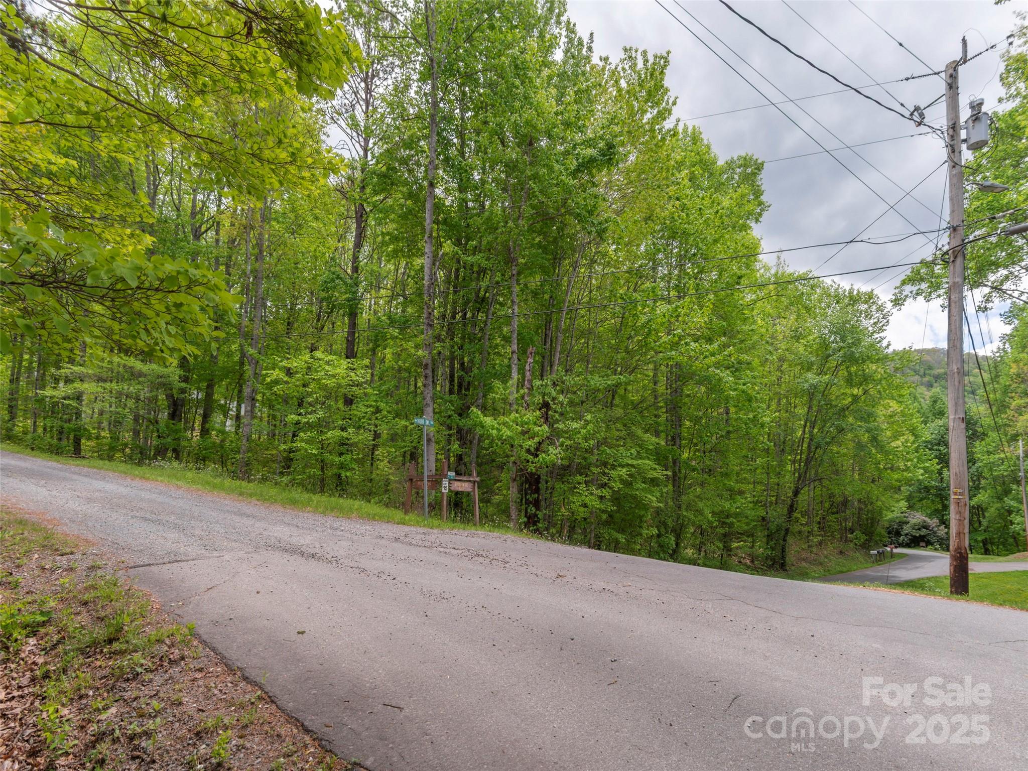 0 Hoot Owl Ridge Waynesville, NC 28786 - Photo 1 of 7