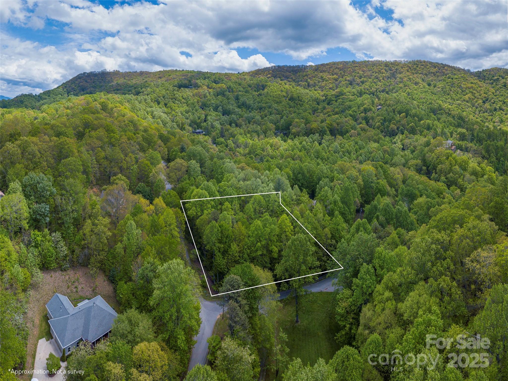 0 Hoot Owl Ridge Waynesville, NC 28786 - Photo 3 of 7