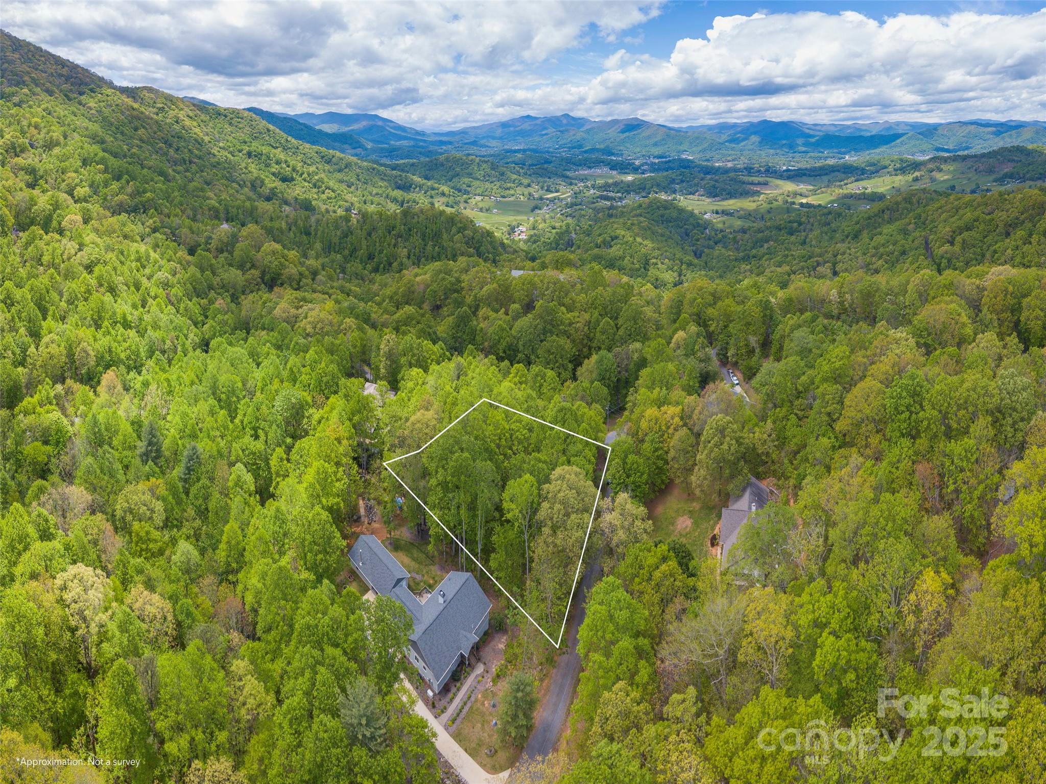 0 Hoot Owl Ridge Waynesville, NC 28786 - Photo 4 of 7
