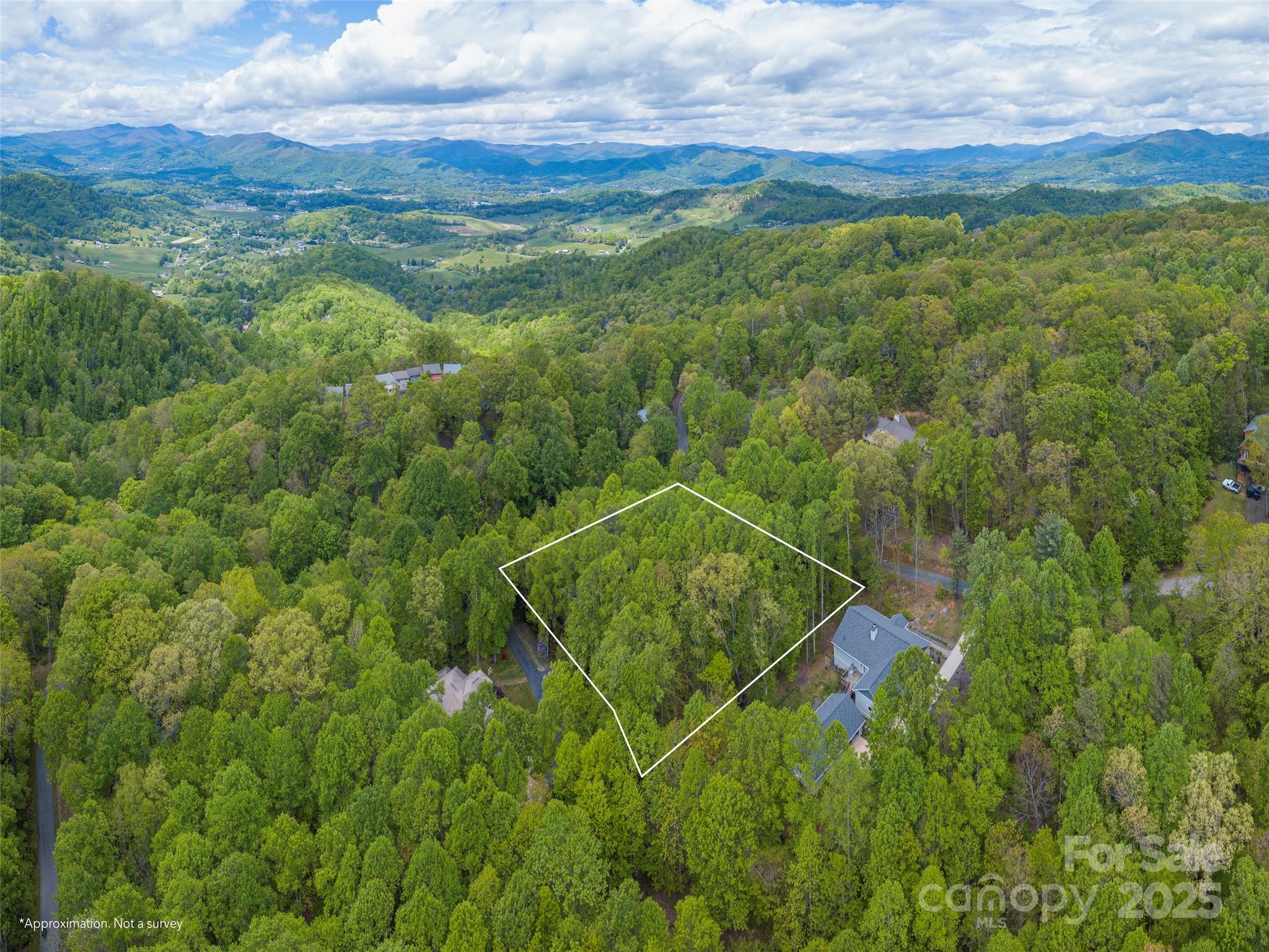 0 Hoot Owl Ridge Waynesville, NC 28786 - Photo 5 of 7