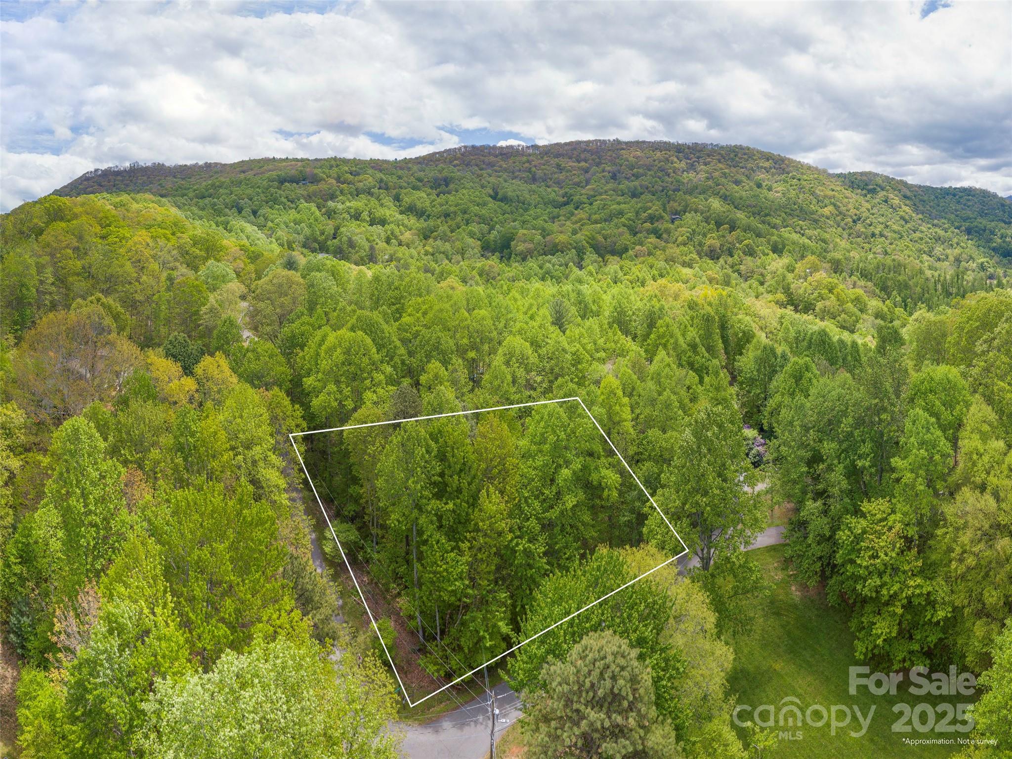 0 Hoot Owl Ridge Waynesville, NC 28786 - Photo 7 of 7