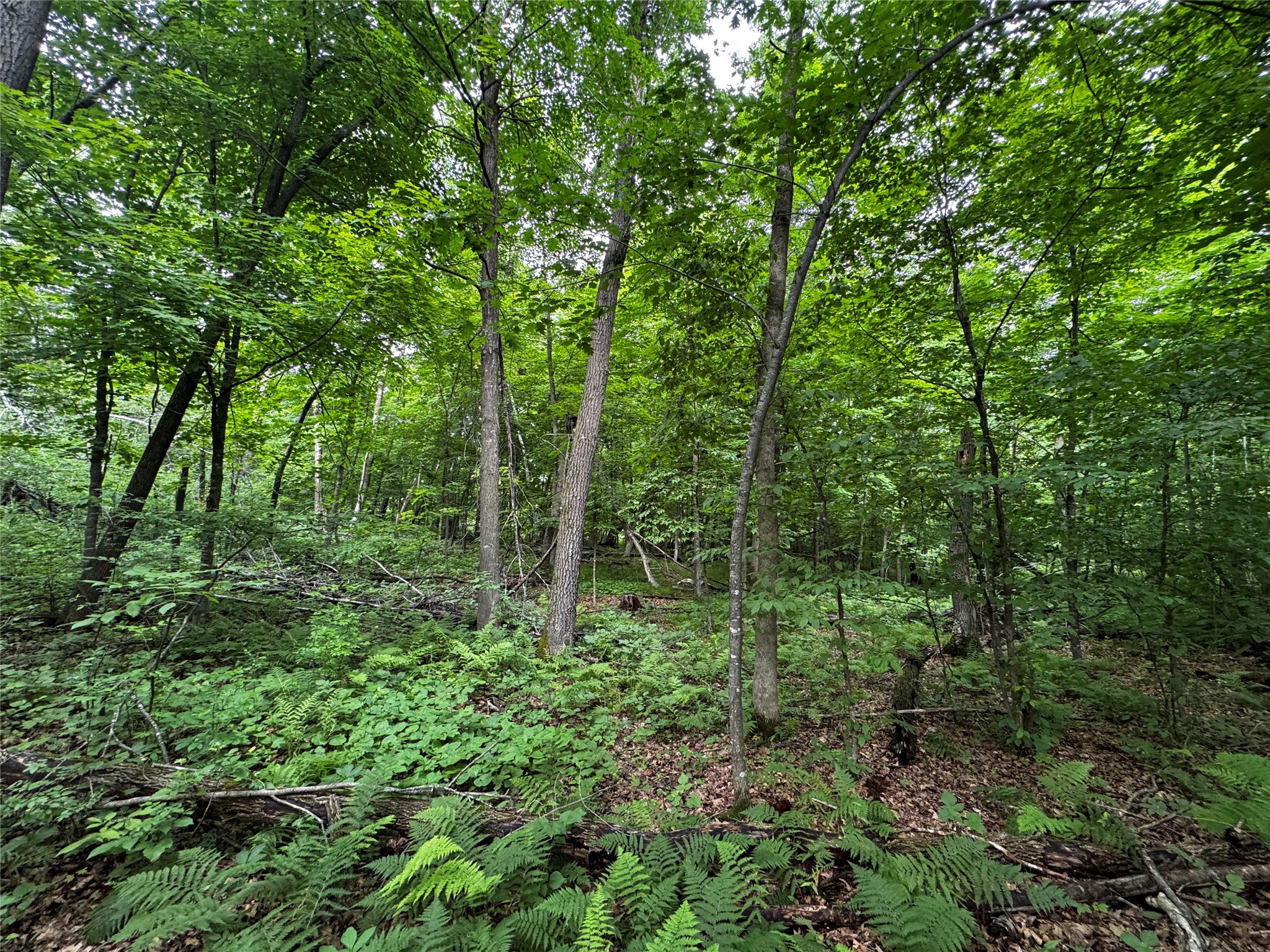0 235th Avenue Cumberland, WI 54829 - Photo 26 of 30