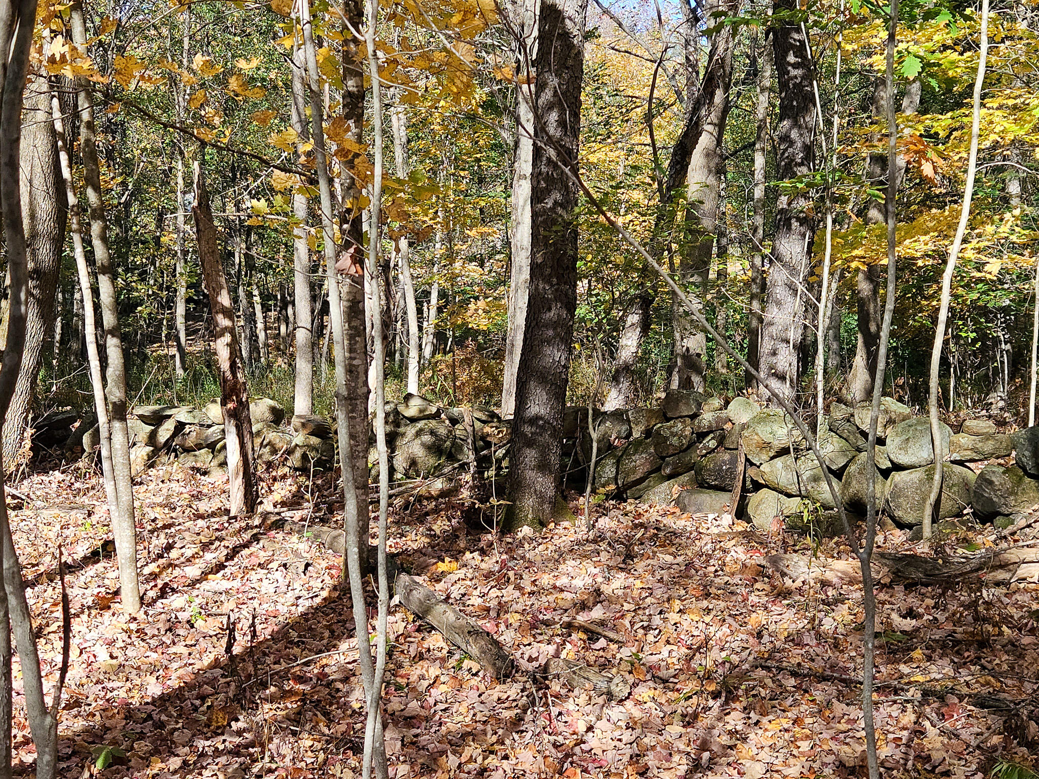 23 Cummings Hill Road Temple, ME 04984 - Photo 84 of 96 20250930_153049-2