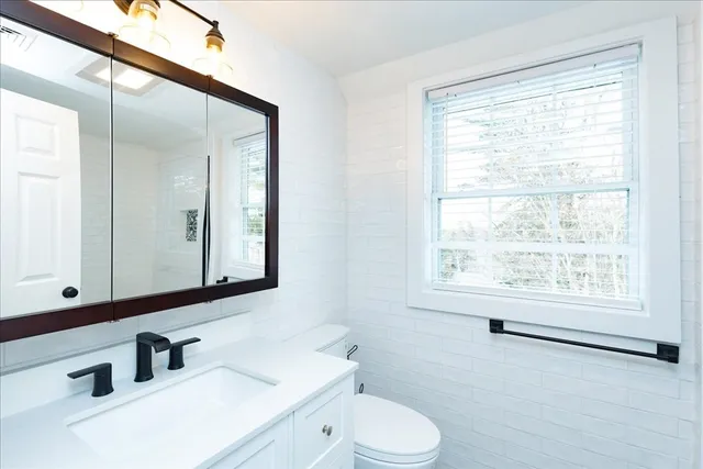 a bathroom with a sink a toilet and a mirror