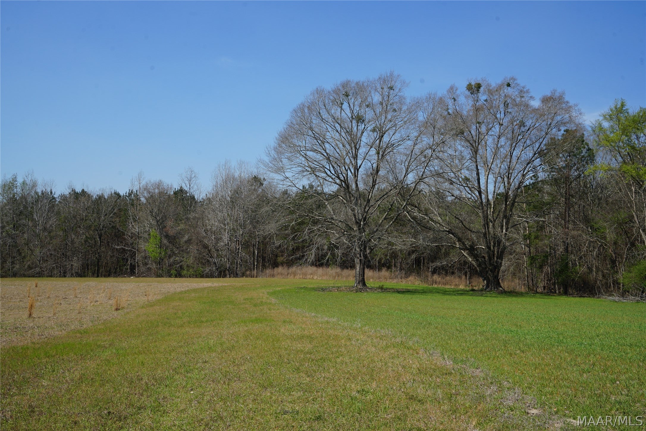 11540 Hobbie Road Ramer, AL 36069 - Photo 4 of 10 Gallery Image 4