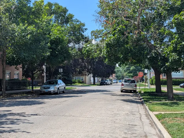 a view of park with bench and trees