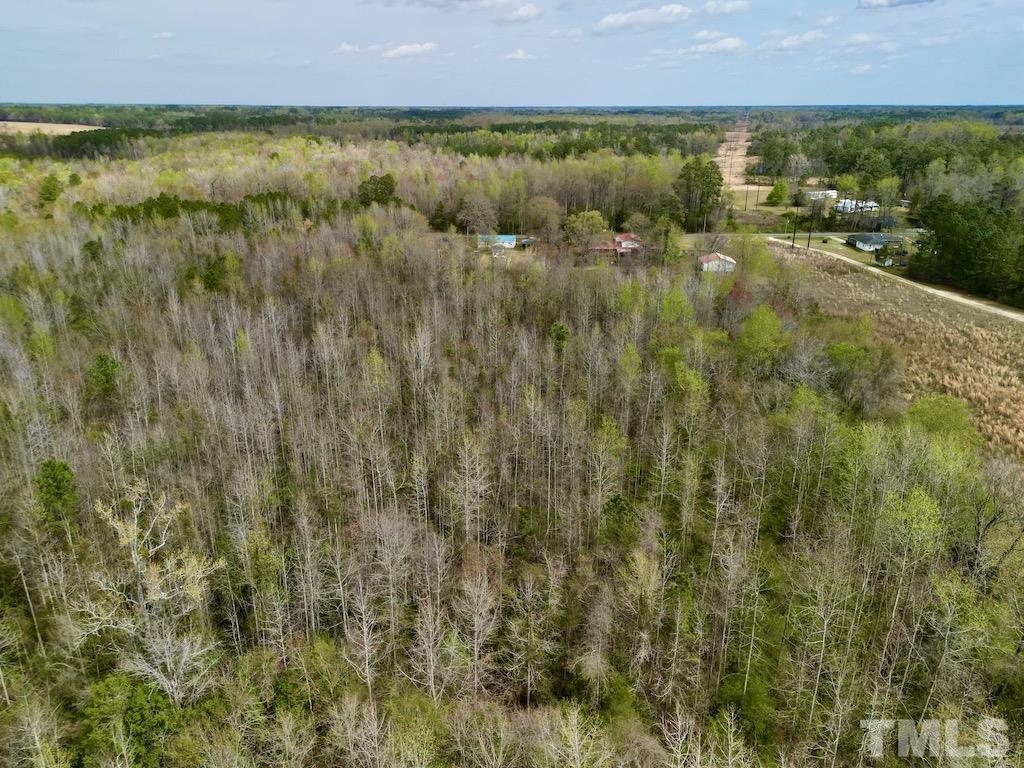 1400 Atkinson Road Orrum, NC 28369 - Photo 8 of 11 a view of lake and green space