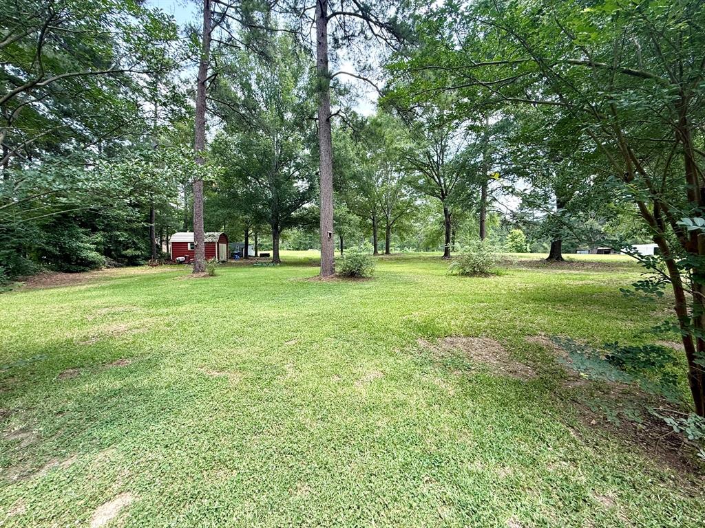 11535 Timber Ridge Drive Keithville, LA 71047 - Photo 34 of 39 a view of a park with large trees