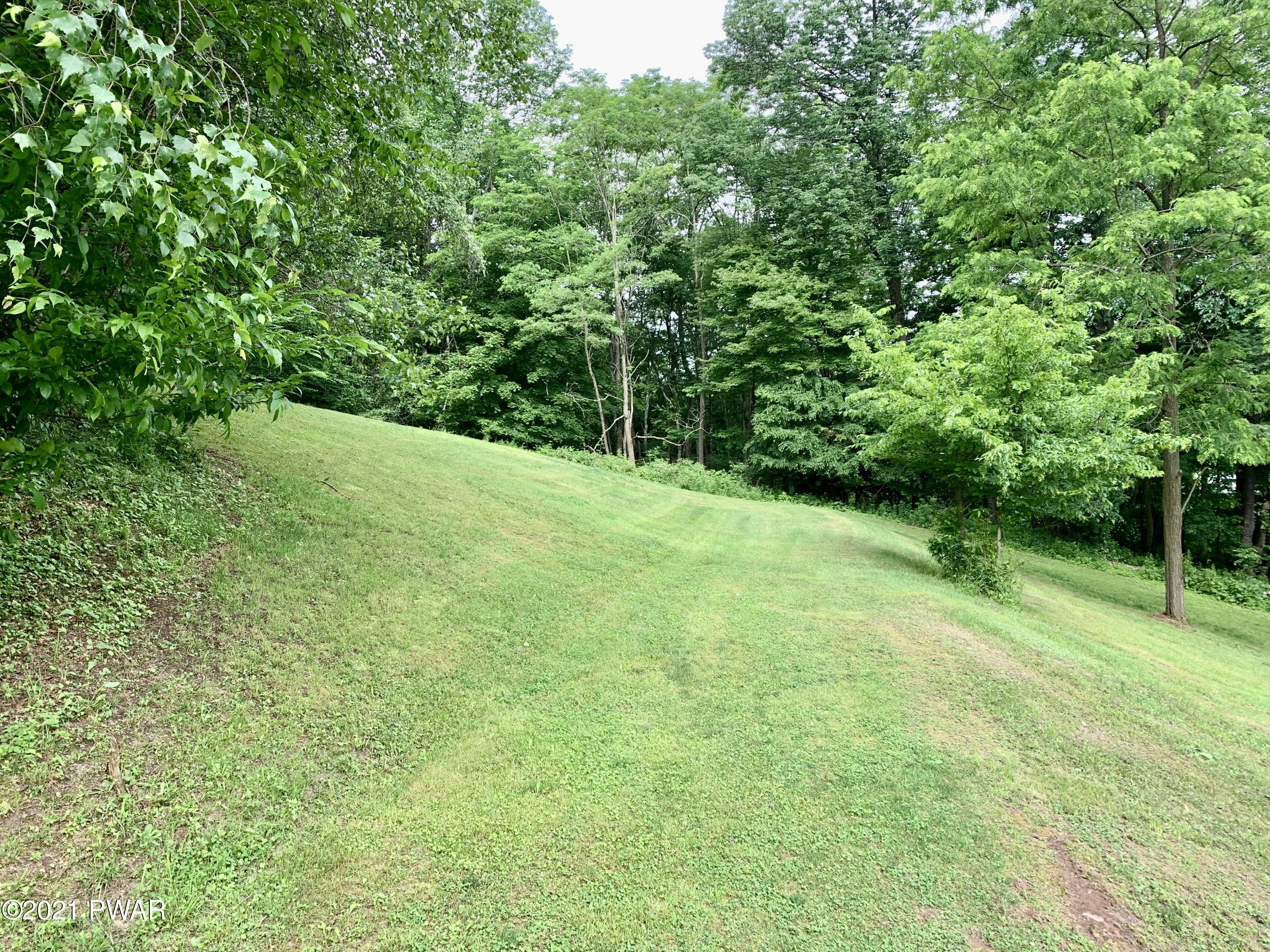 619 A Prompton Road Prompton, PA 18456 - Photo 45 of 50 BACK YARD