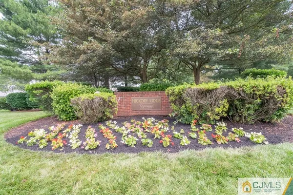 a view of a garden with plants