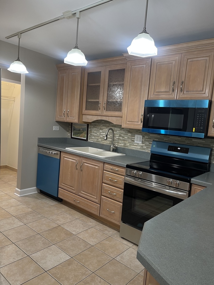 1405 East Central Road, Unit 201A Arlington Heights, IL 60005 - Photo 2 of 30