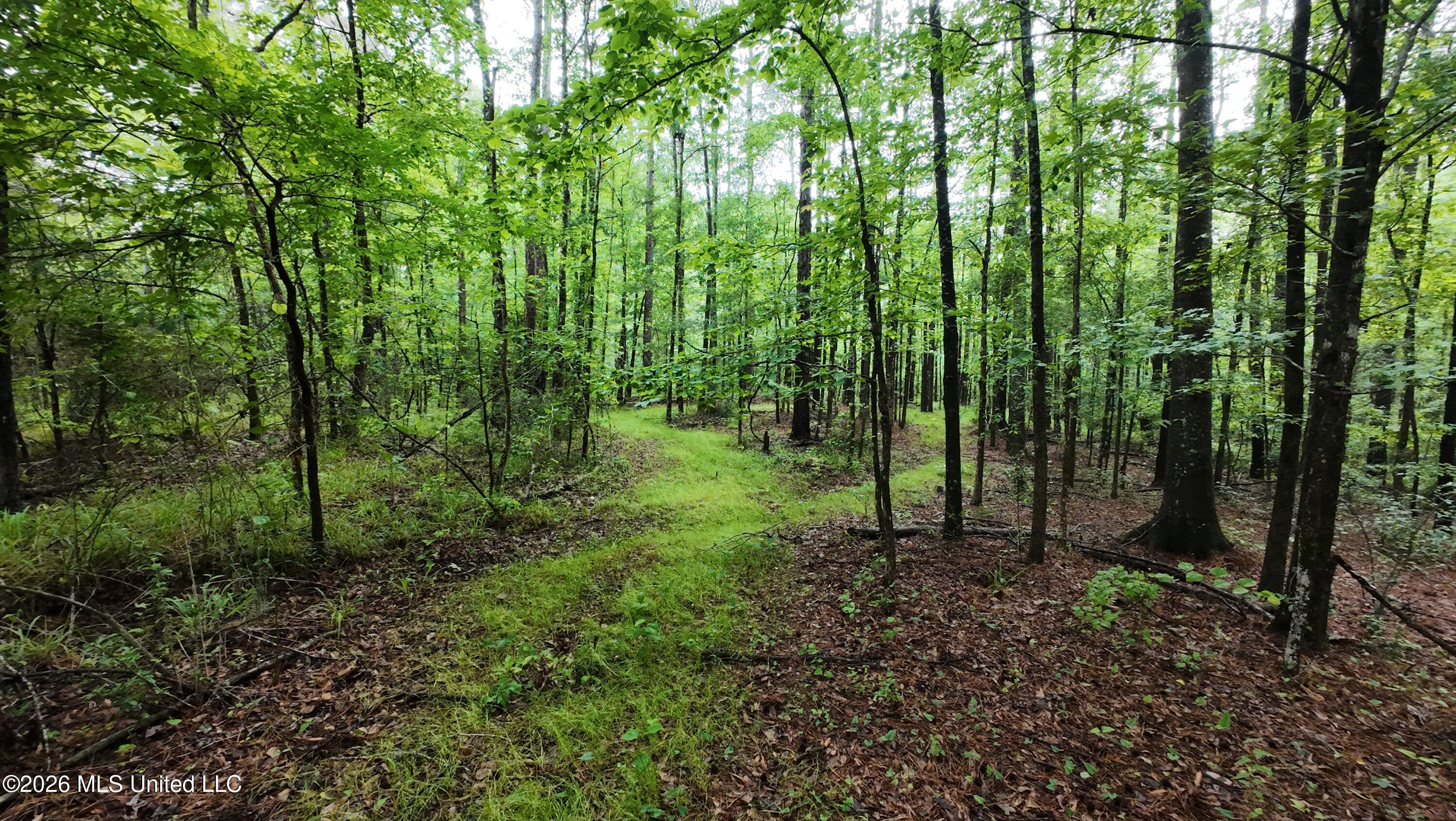 6936 Hillsboro-Ludlow Road Forest, MS 39074 - Photo 10 of 22 DJI_20260429130748_0134_D