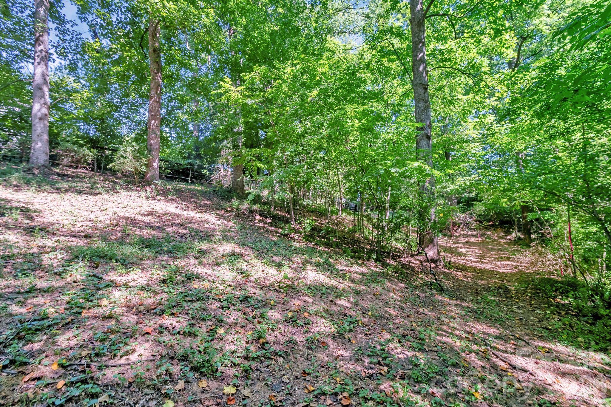 2520 Austin Chaney Road Wingate, NC 28174 - Photo 30 of 35