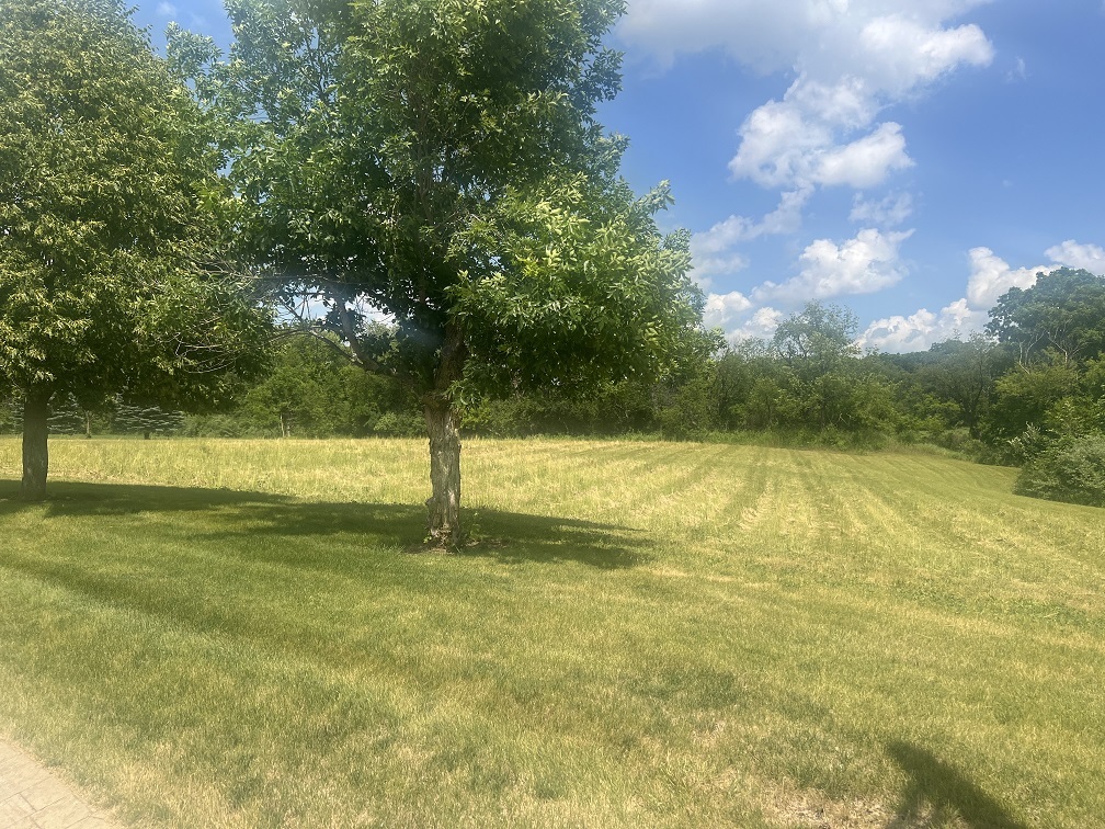 18 Ridgefield Boulevard Huntley, IL 60142 - Photo 3 of 11