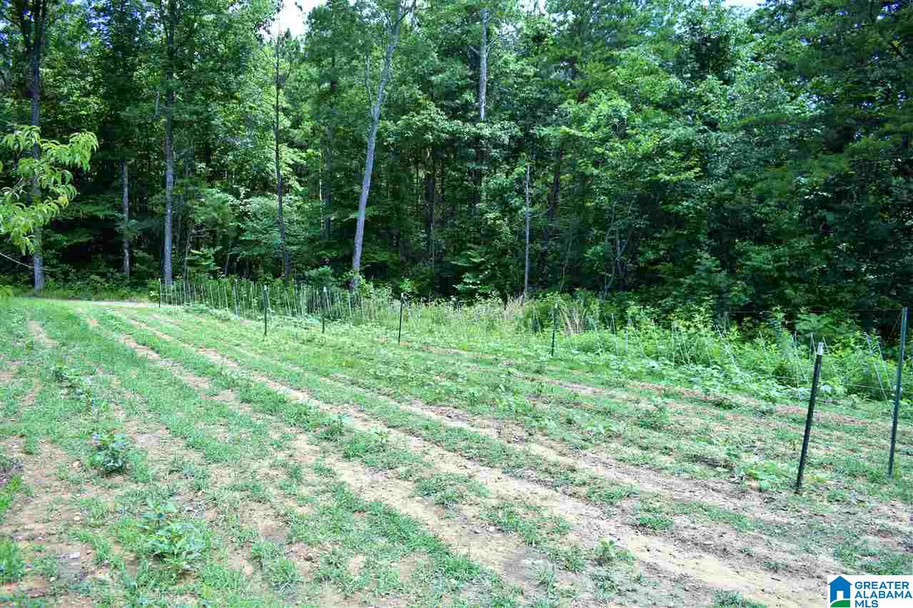 8760 Pine Mountain Road Pinson, AL 35126 - Photo 14 of 42