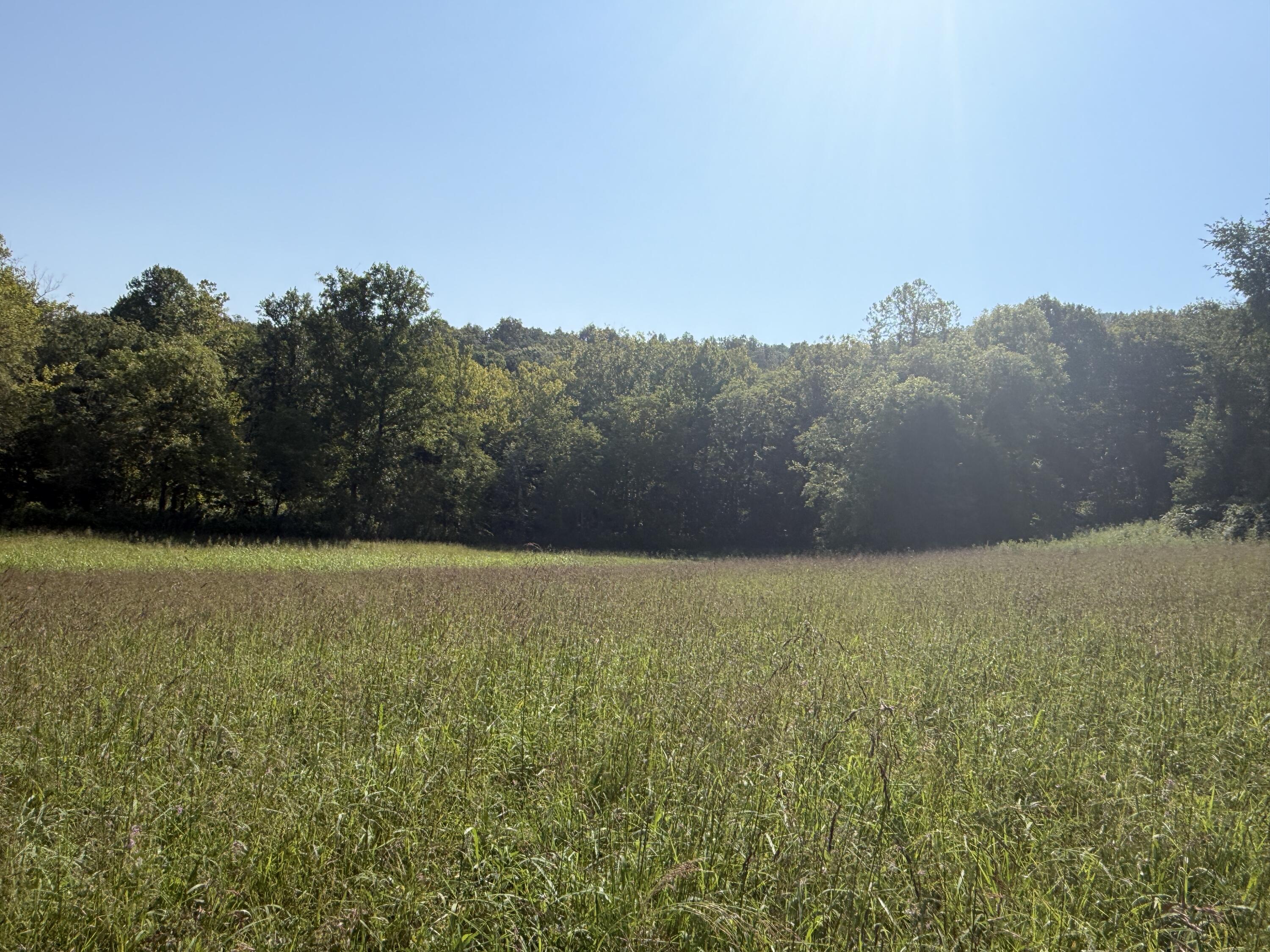 0 Phillips Hollow Road Monticello, KY 42633 - Photo 15 of 21 IMG_0610