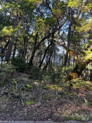 $7,500 | 24419 Cypress Drive, Willits, CA 95490