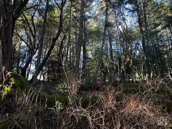 $7,500 | 24419 Cypress Drive, Willits, CA 95490