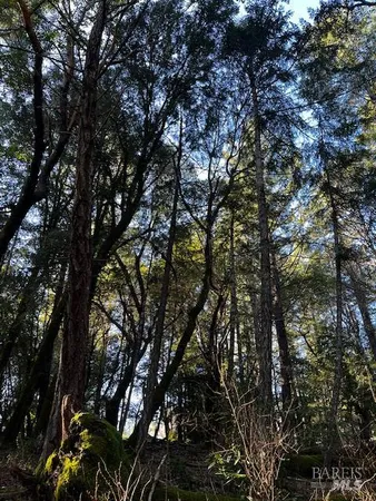 $7,500 | 24419 Cypress Drive, Willits, CA 95490