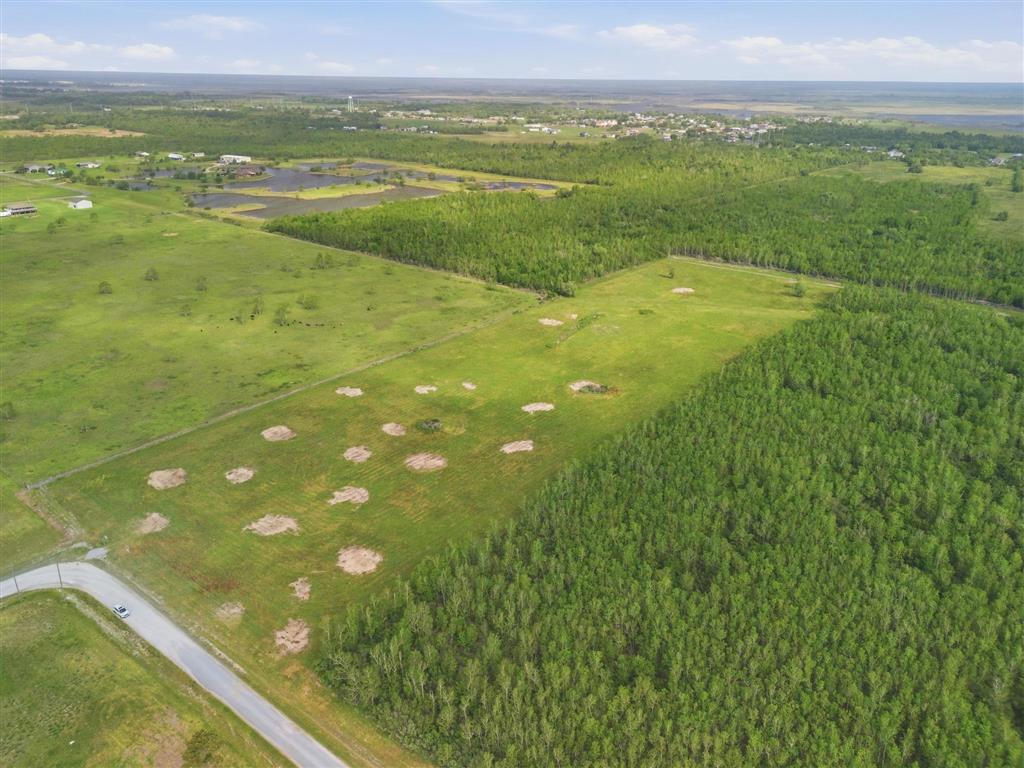 Tbd Kale Ryan Road Hackberry, LA 70645 - Photo 4 of 12