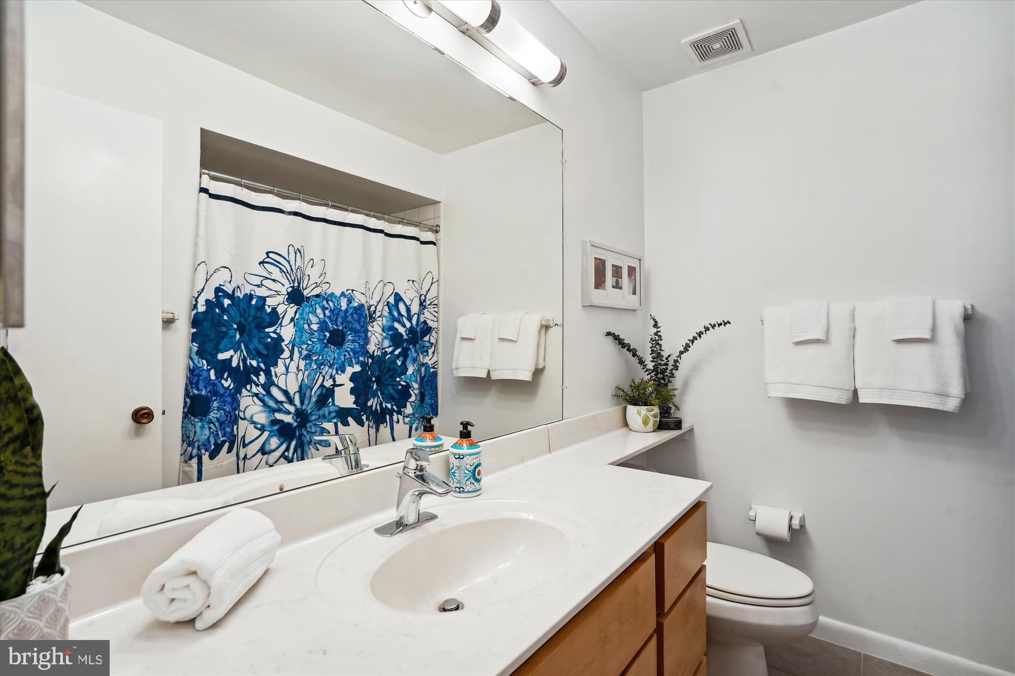 11823 Blue Spruce Road Reston, VA 20191 - Photo 28 of 86 Updated Hall Bath