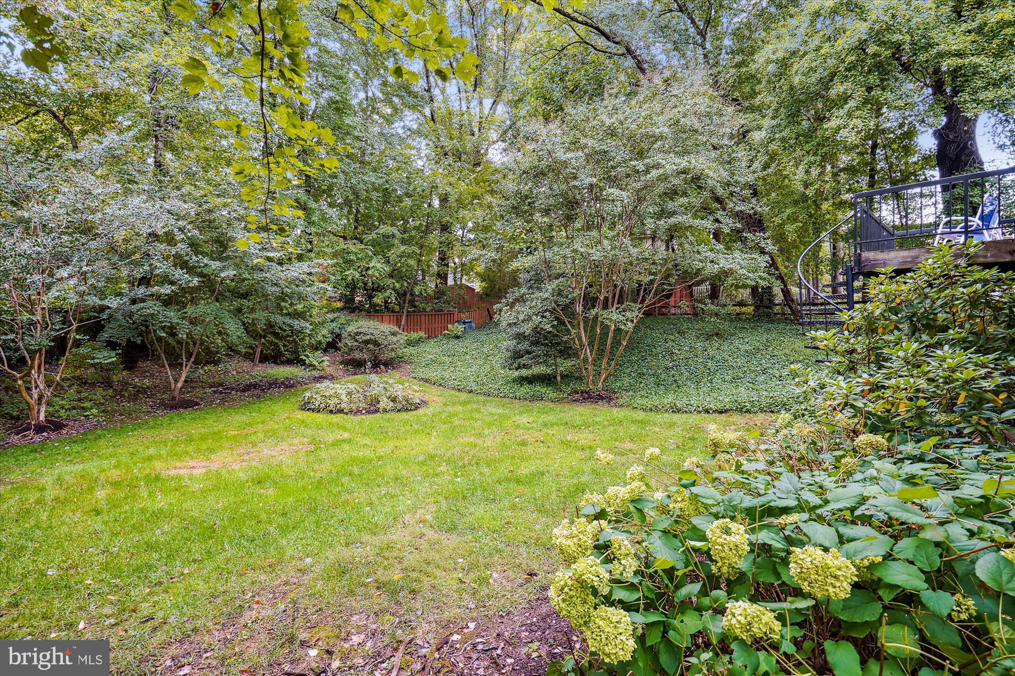 11823 Blue Spruce Road Reston, VA 20191 - Photo 39 of 86 Back Yard from lower level
