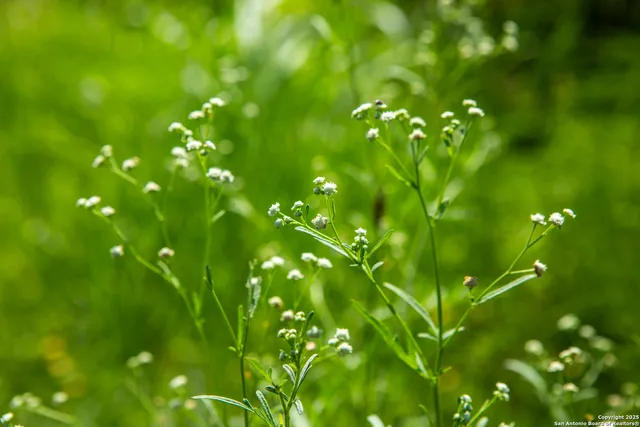 a view of a yellow umbrella