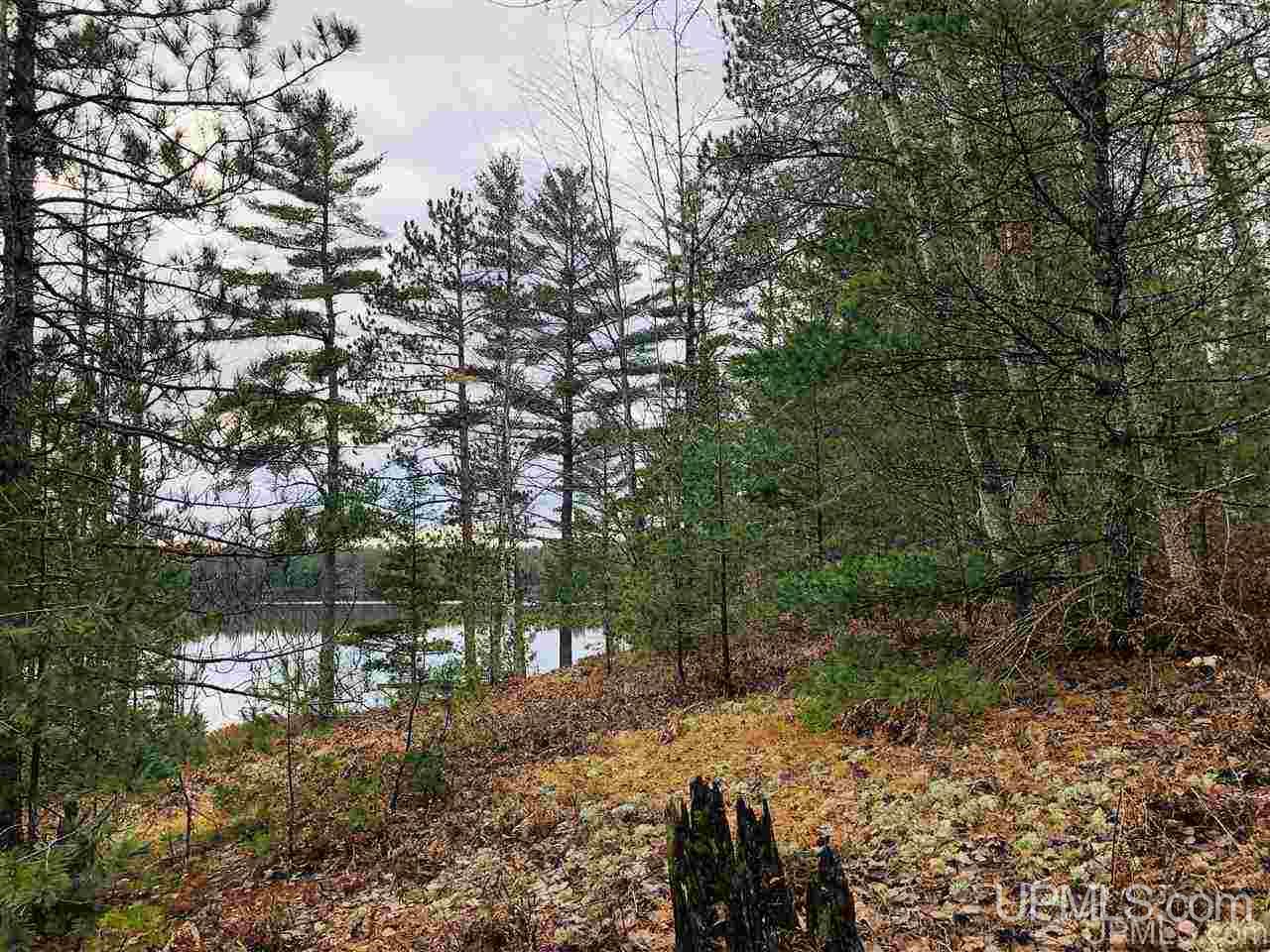 Tbd Mirror Lake Road Munising, MI 49862 - Photo 13 of 19