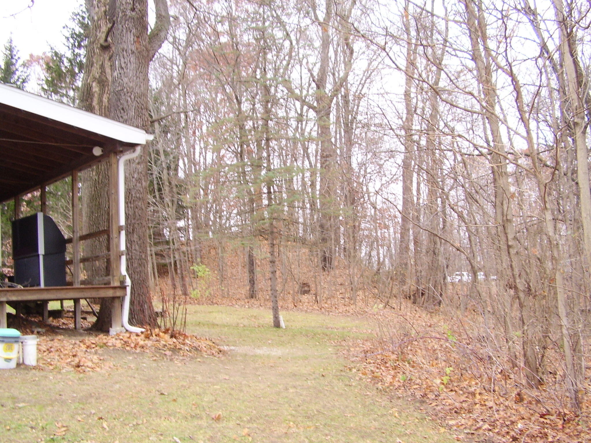 7781 West Hagar Shore Road Coloma, MI 49038 - Photo 5 of 19 PB110031