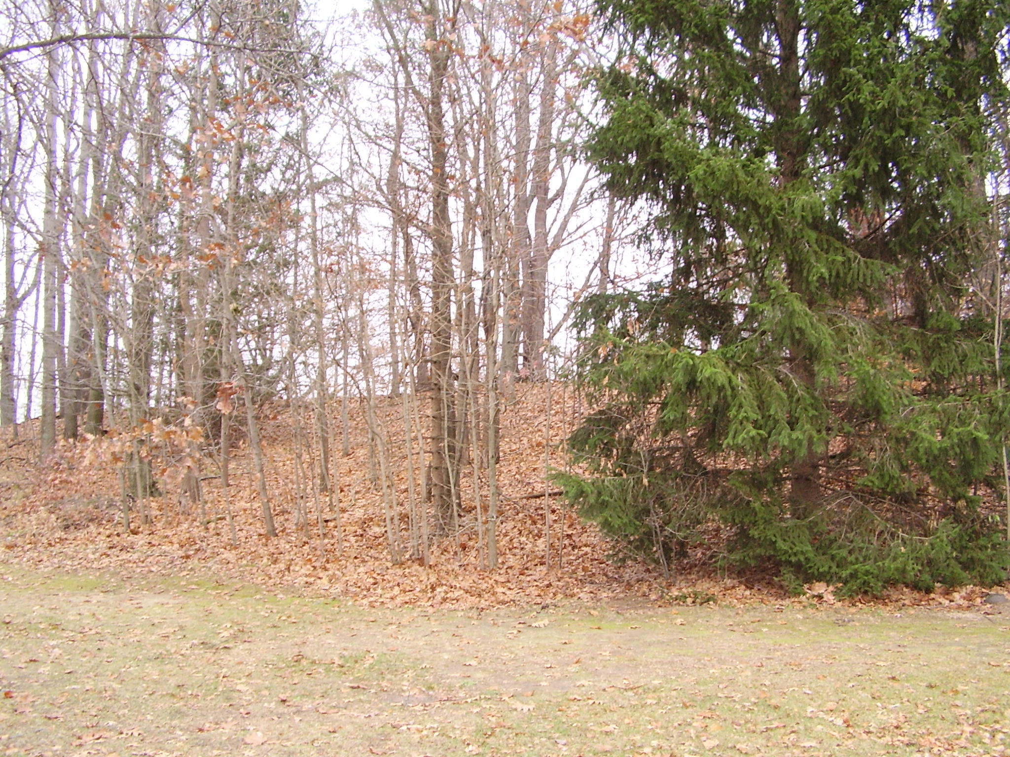 7781 West Hagar Shore Road Coloma, MI 49038 - Photo 6 of 19 PB110025