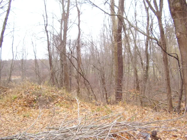 $350,000 | 7781 West Hagar Shore Road, Coloma, MI 49038