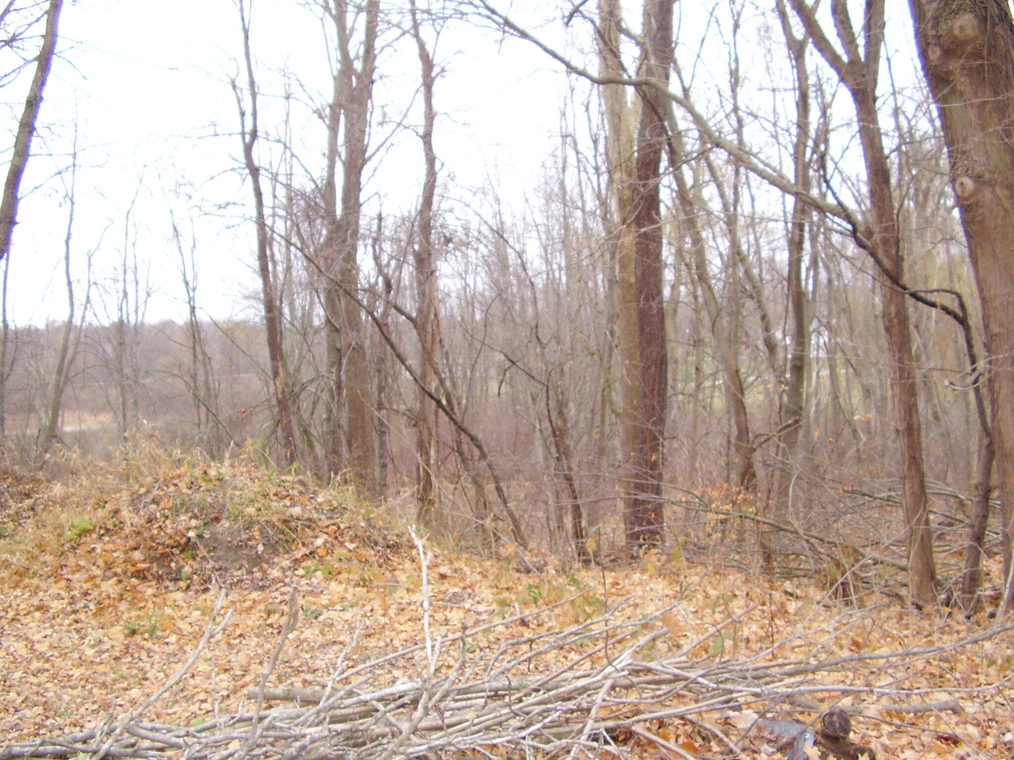 7781 West Hagar Shore Road Coloma, MI 49038 - Photo 7 of 19 PB110028