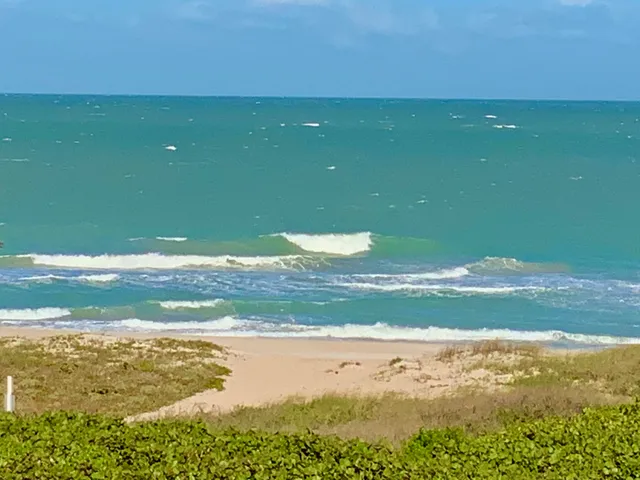 a view of an ocean and beach