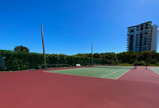 a view of a backyard with plants and palm trees