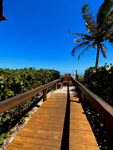 a view of a park with a big yard