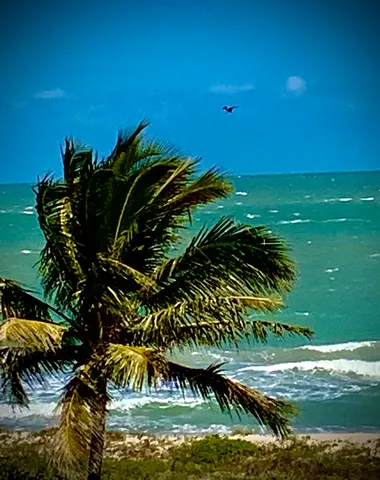 $2,800 | 3200 North Hwy A1A, Unit 409, Hutchinson Island, FL 34949