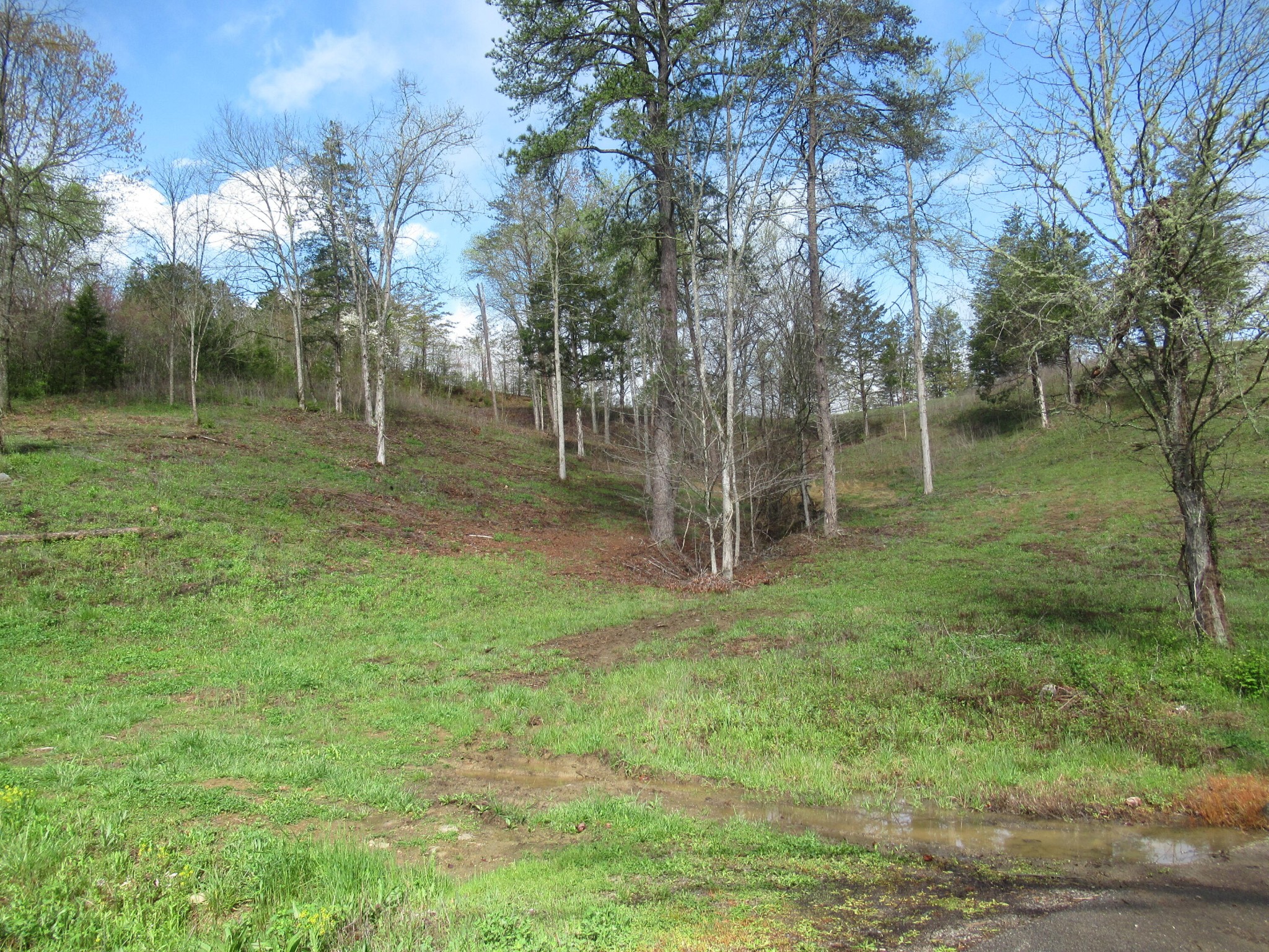 10 Hidden Ranch Way Seymour, TN 37865 - Photo 9 of 25 Gallery Image 9