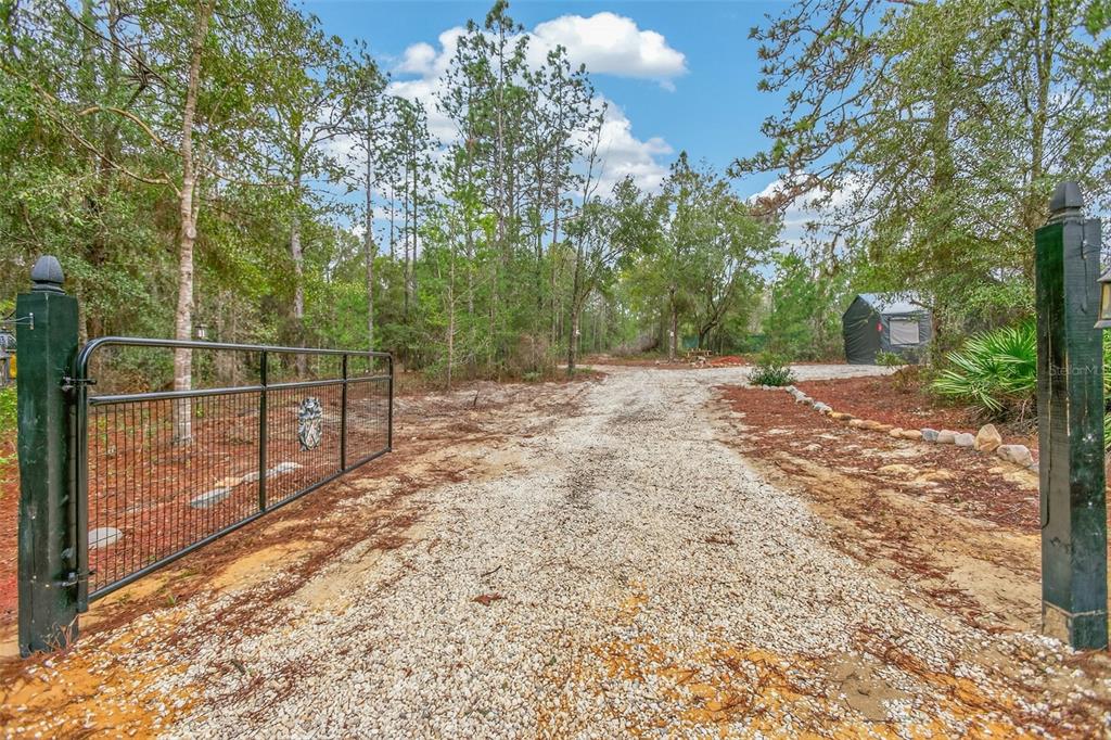 419 Lily Trail Interlachen, FL 32148 - Photo 57 of 78 a view of a backyard with trees