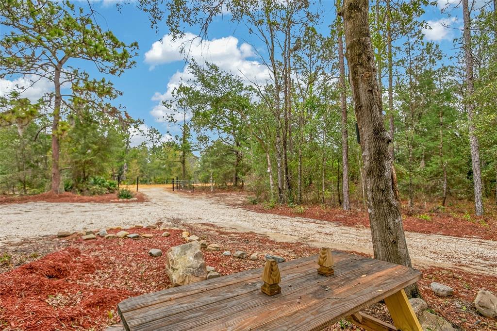419 Lily Trail Interlachen, FL 32148 - Photo 64 of 78 a view of a yard with plants
