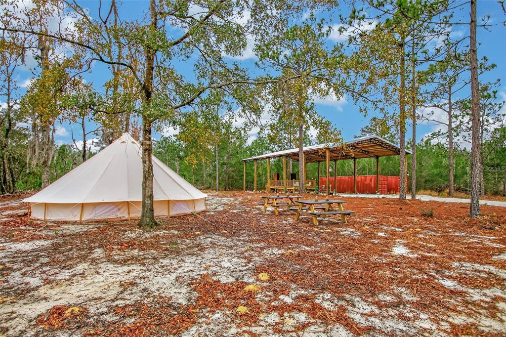 419 Lily Trail Interlachen, FL 32148 - Photo 64 of 82 a view of backyard with small cabin and wooden fence