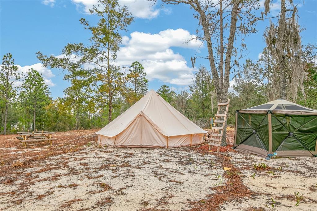 419 Lily Trail Interlachen, FL 32148 - Photo 65 of 78 a view of a wooden house with a yard and sitting area