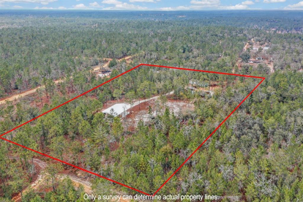 419 Lily Trail Interlachen, FL 32148 - Photo 65 of 82