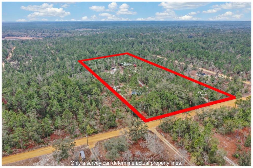 419 Lily Trail Interlachen, FL 32148 - Photo 66 of 82 a view of a small park