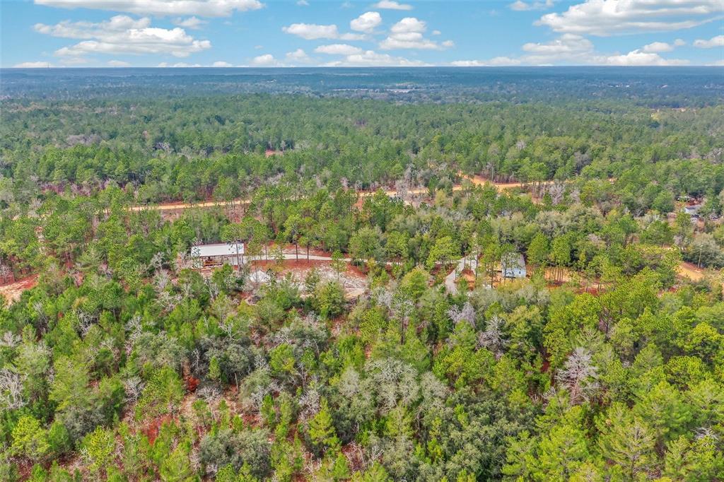419 Lily Trail Interlachen, FL 32148 - Photo 72 of 82 a view of a green field with lots of bushes